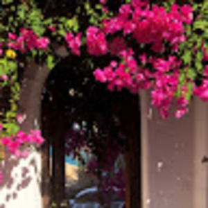 Meet your Posher, Tori